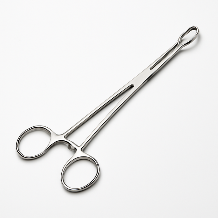 Sponge Holding Forceps 24cm